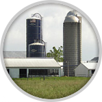 Farm Market